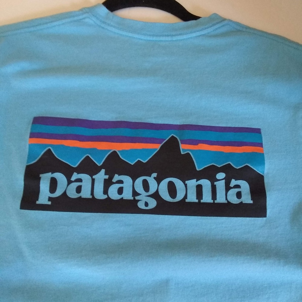 Men's PATAGONIA Logo Pocket Tee